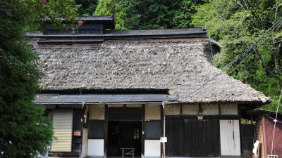 How Living Things and Rice Led Us to Sake Brewing