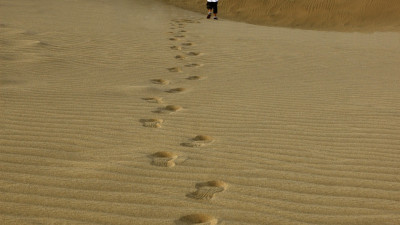 Reclaiming the Power of Small Changes