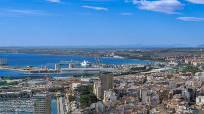 The Solution to Your Scope 3 Problem: Insetting, Explained