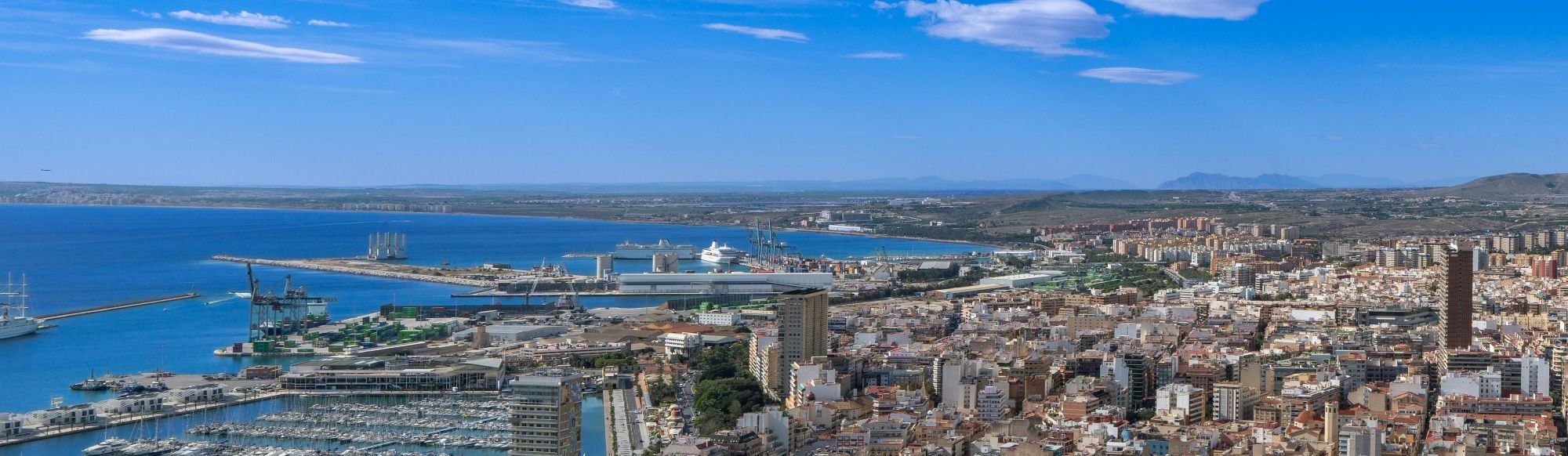 The Solution to Your Scope 3 Problem: Insetting, Explained