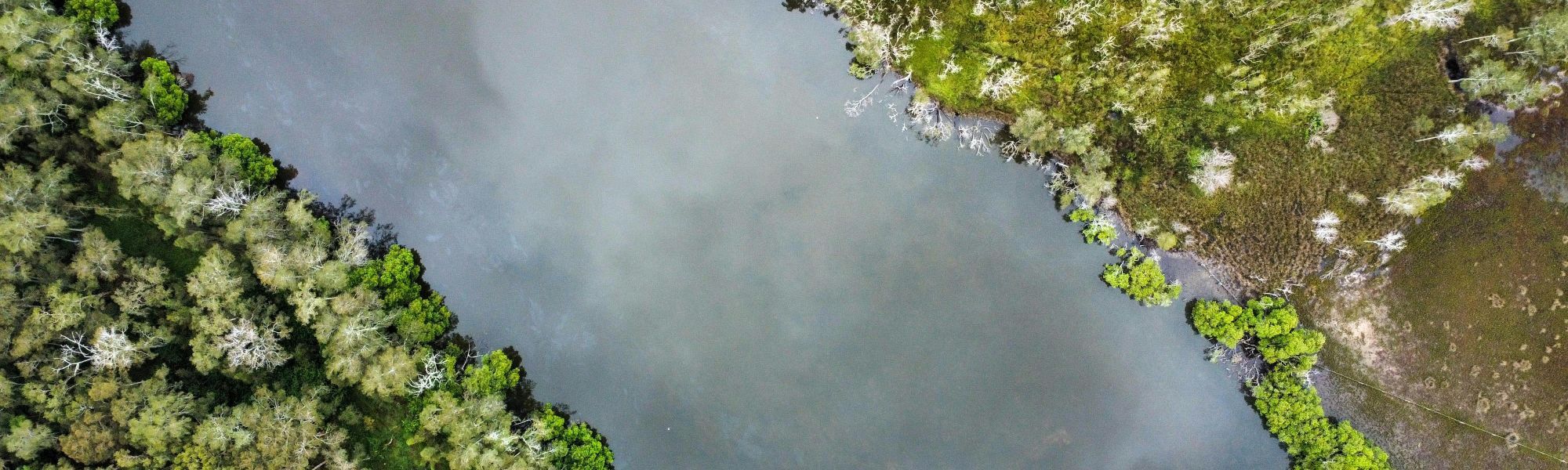 How do sustainability systems really make a difference?