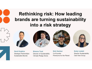 Rethinking risk: How leading brands are turning sustainability into a risk strategy