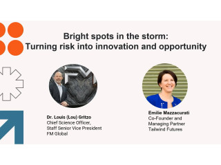 Bright spots in the storm — Turning risk into innovation and opportunity
