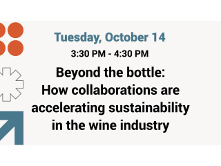 Beyond the bottle: How collaborations are accelerating sustainability in the wine industry