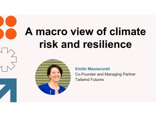 A macro view of climate risk and resilience