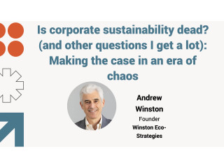 Is corporate sustainability dead? (And other questions I get a lot): Making the case in an era of chaos