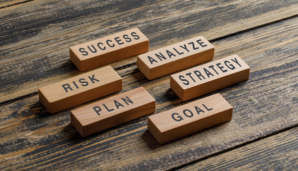 Purpose at Risk: Why Risk May be the Missing Link