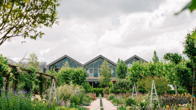 Regeneration & Resilience