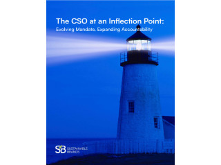 The CSO at an Inflection Point: Evolving Mandate, Expanding Accountability
