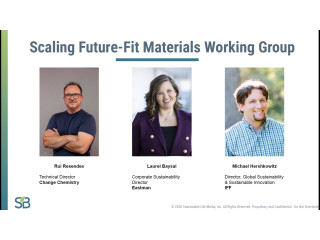 SB April 2026 Member Meeting: Scaling Future-Fit Materials: SB & Change Chemistry Working Group Insights and Playbook Review