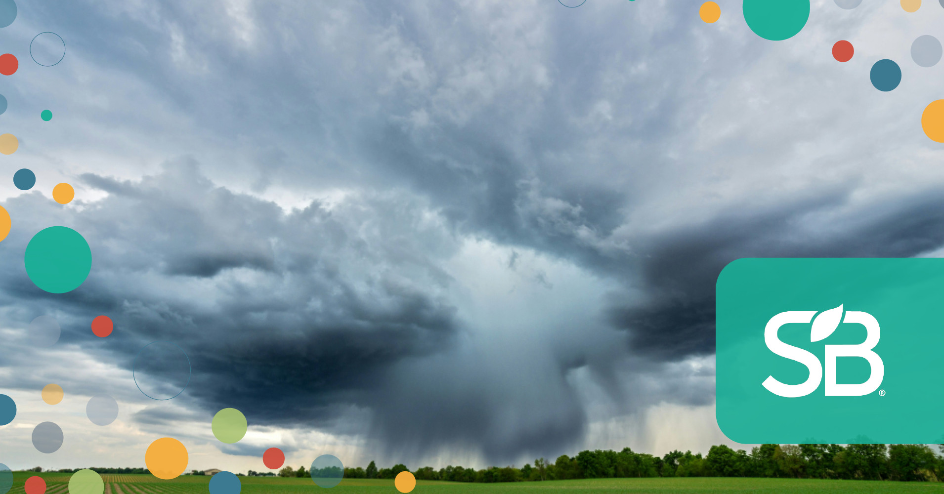 Climate Risk Is Hitting the Bottom Line With Greater Force
