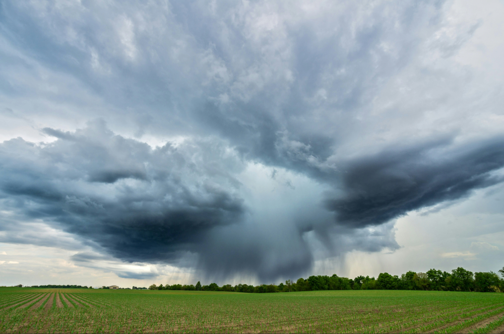 Climate Risk Is Hitting the Bottom Line With Greater Force