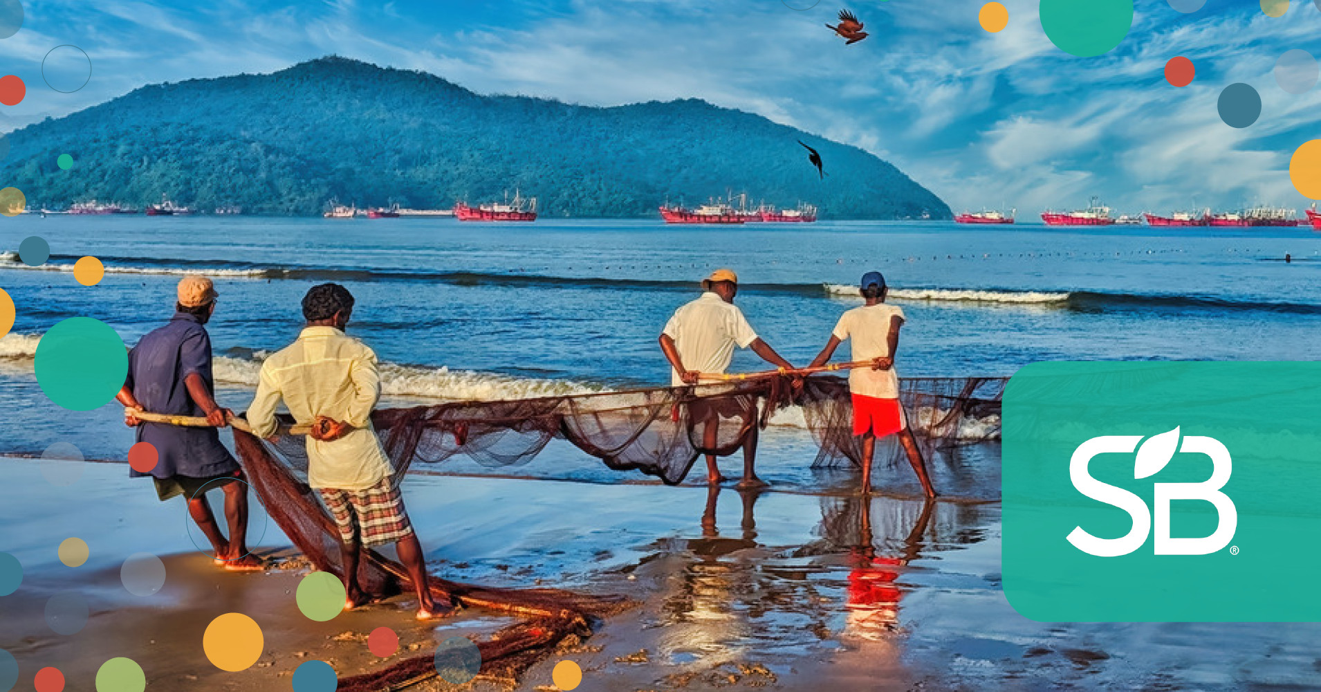 From Spaghetti Bowl to Smart Mix: the Changing Role of Sustainability Standards