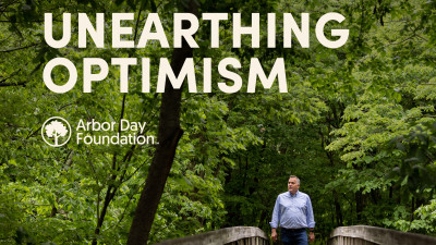 The Science of Surviving Heat Waves: Arbor Day's Newest Podcast Guest Weighs In