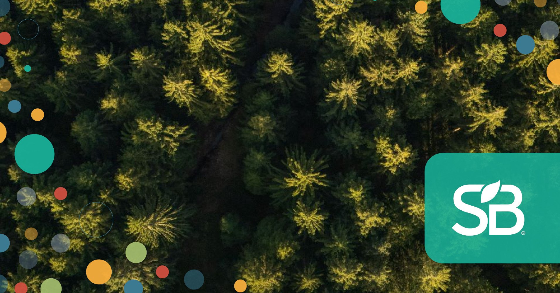 Arbor Day Foundation Plants Its Flag at London Climate Week with 'The Nature Hub'