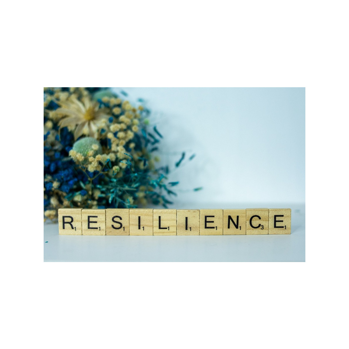 Corporate Sustainability Is Now a Resilience Strategy