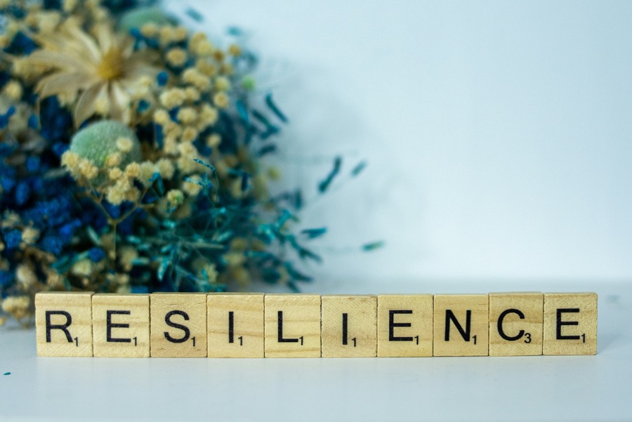 Corporate Sustainability Is Now a Resilience Strategy