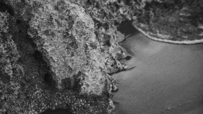 When Strategy No Longer Holds: A New Mind Architecture for Leading Under Complexity