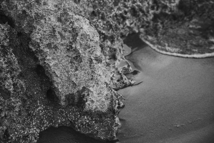 When Strategy No Longer Holds: A New Mind Architecture for Leading Under Complexity