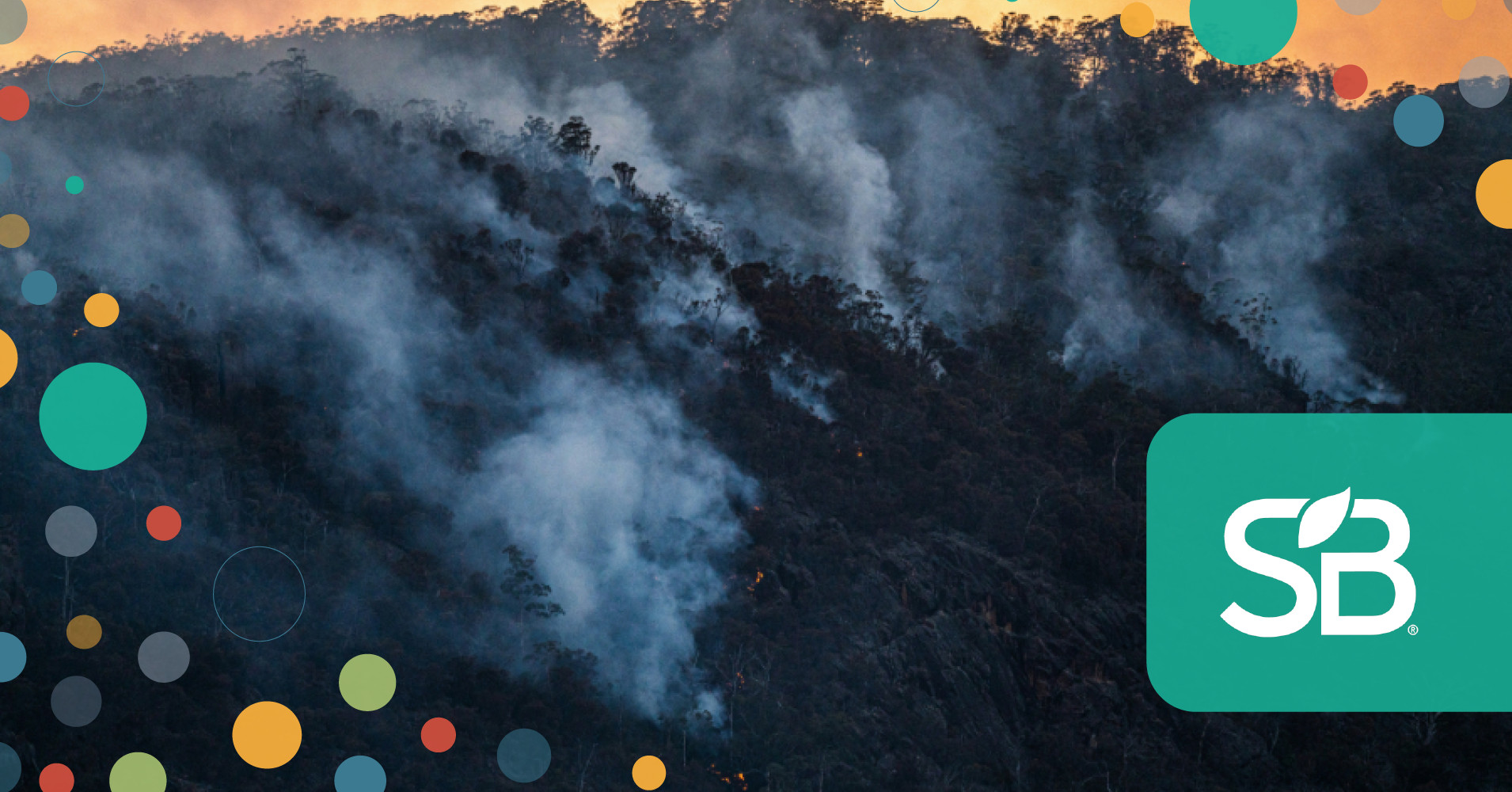 Wildfire-Related Air Pollution and El Niño: Climate Risks Reshaping Health Outcomes