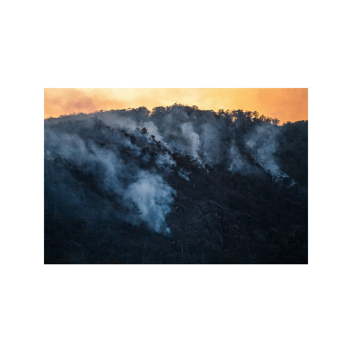 Wildfire-Related Air Pollution and El Nino: Climate Risks Reshaping Health Outcomes