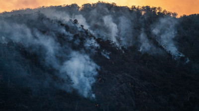 Wildfire-Related Air Pollution and El Niño: Climate Risks Reshaping Health Outcomes