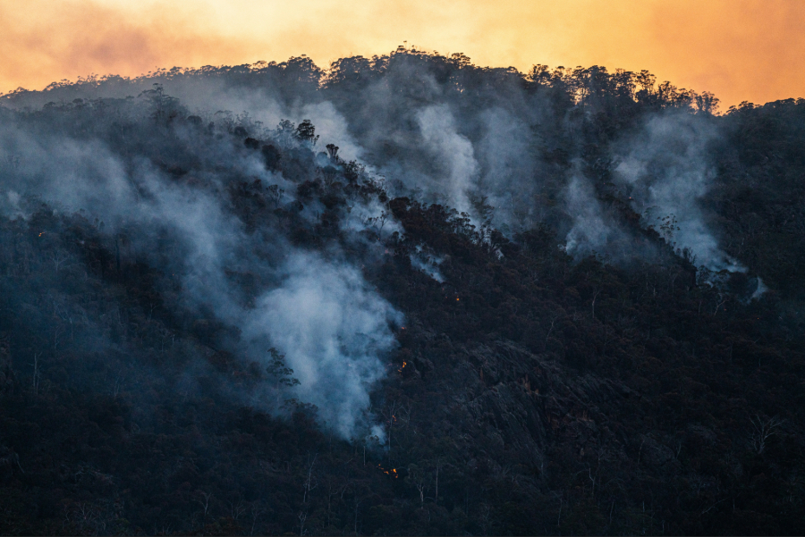 Wildfire-Related Air Pollution and El Niño: Climate Risks Reshaping Health Outcomes
