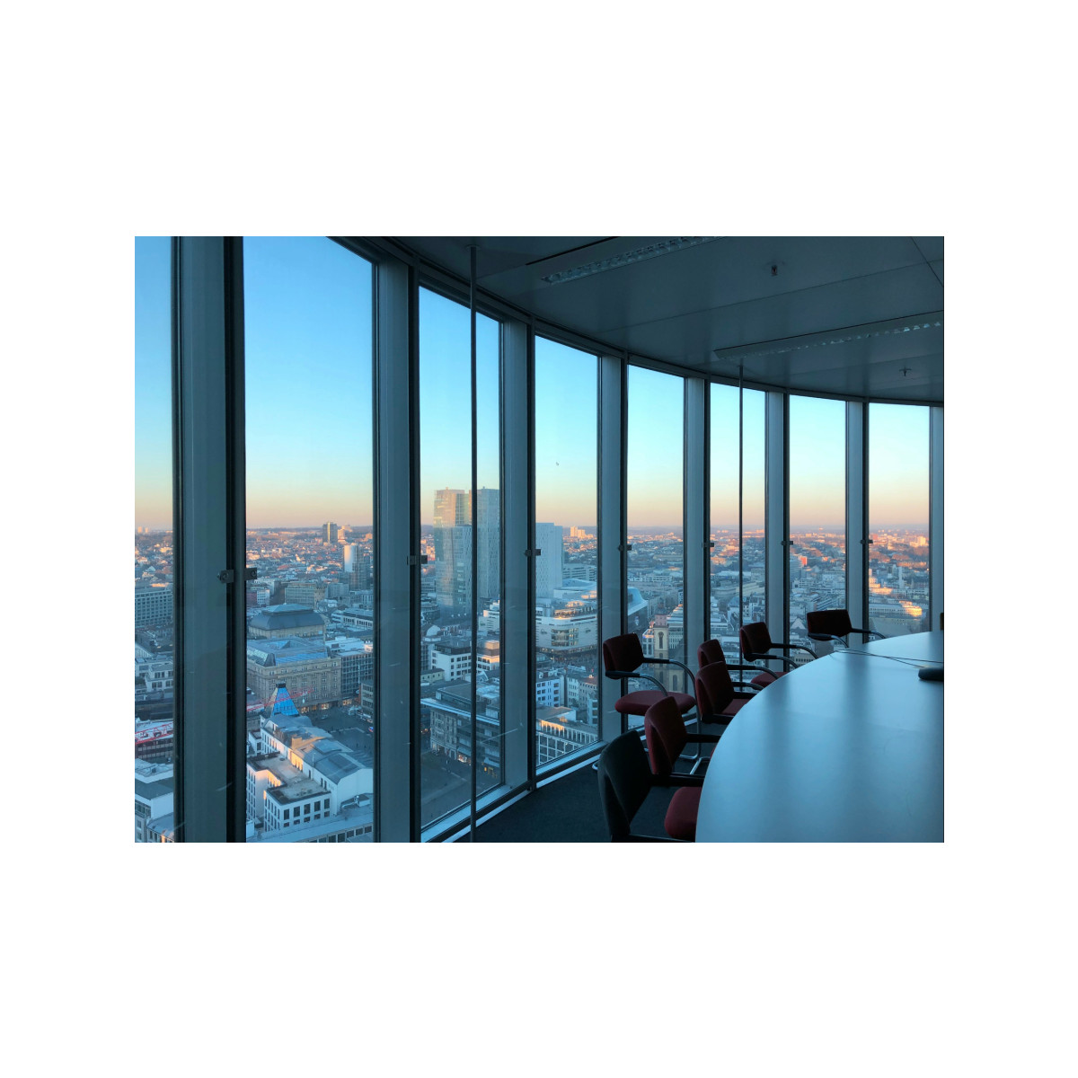 Why Finance Teams Are Taking the Lead on Sustainability Disclosure