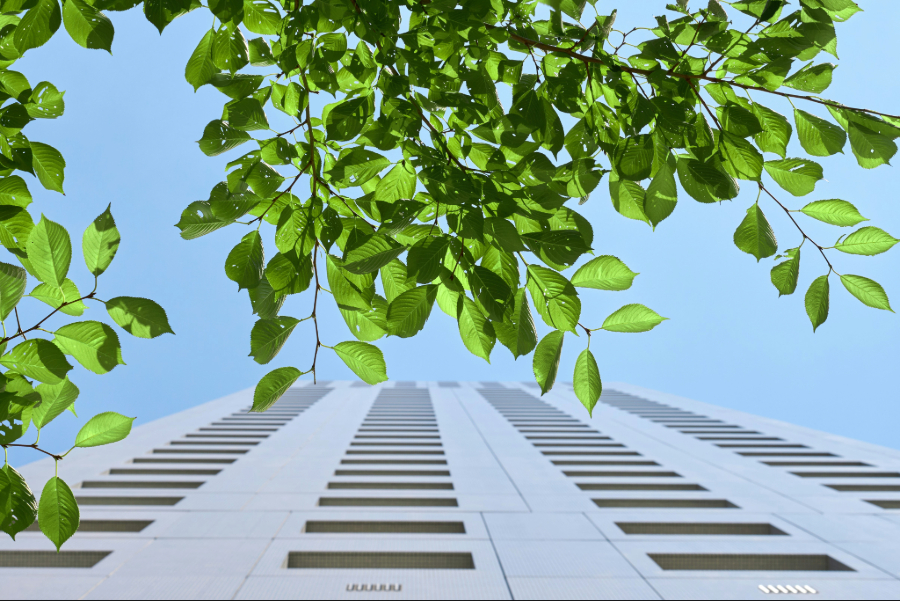 How Can Retailers Serve Both Customers and Regulators While Enabling AI? Operational Sustainability.