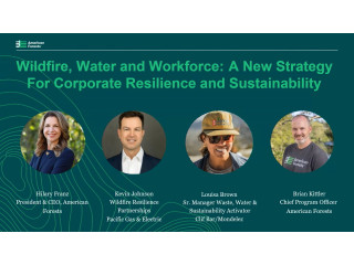 Wildfire, Water and Workforce A New Strategy for Corporate Resilience and Sustainability