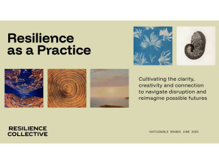 From Overwhelm to Imagination A Resilience Immersion for Leaders Navigating Disruption