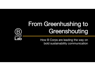 From Greenhushing to Greenshouting How B Corps are Leading the Way on Bold Sustainability Communication
