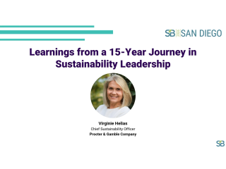 Learnings from a 15-Year Journey in Sustainability Leadership