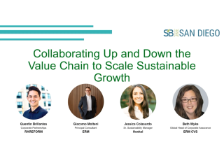 Collaborating Up and Down the Value Chain to Scale Sustainable Growth