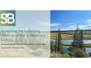 Navigating the Expanding Universe of Risk and Resilience Metrics