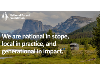 The Secret Sauce of High-Impact Brand-Nonprofit Partnerships