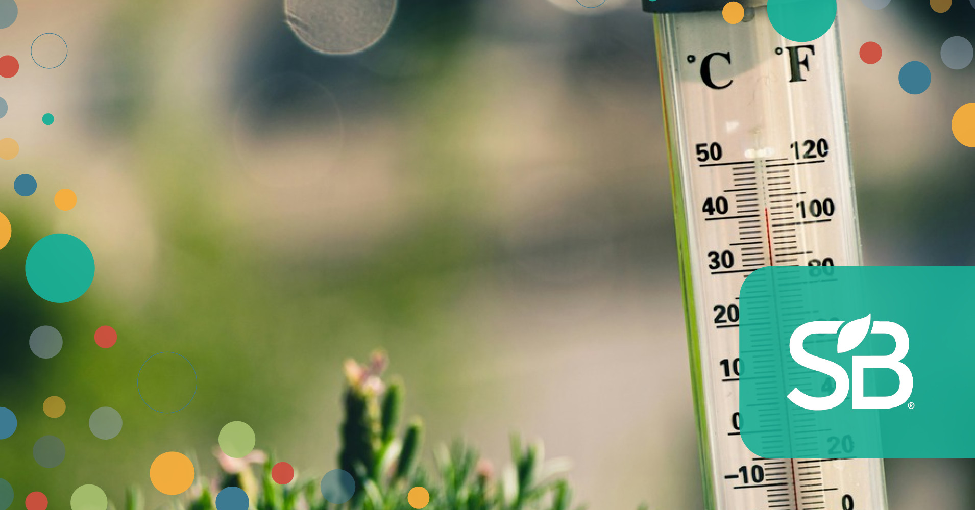 Extreme Heat Has a Price Tag