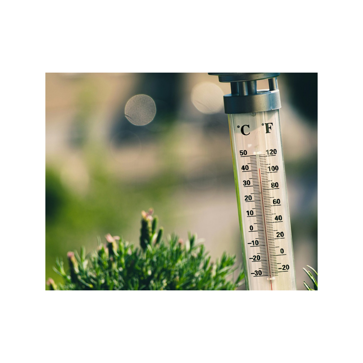 Extreme Heat Has a Price Tag