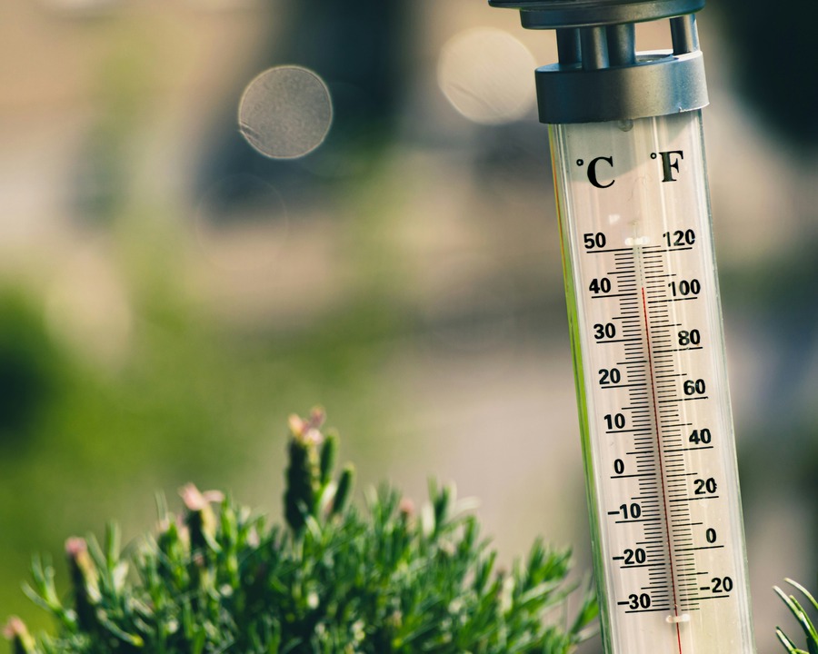 Extreme Heat Has a Price Tag