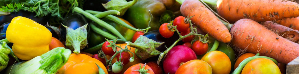 Beyond the Pilot: What It Really Takes to Scale Food Loss and Waste Solutions