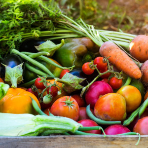 Beyond the Pilot: What It Really Takes to Scale Food Loss and Waste Solutions Event Key Art