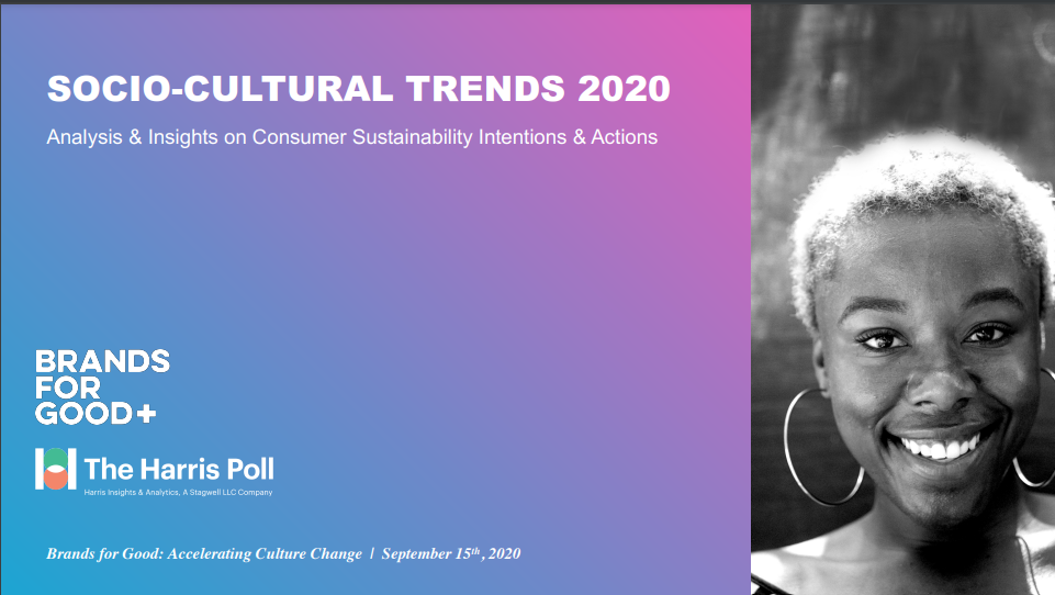 Socio-Cultural Trends: 2020 Large-Scale Survey Highlights Report