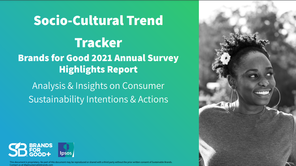 Socio-Cultural Trends: 2021 Large-Scale Survey Highlights Report